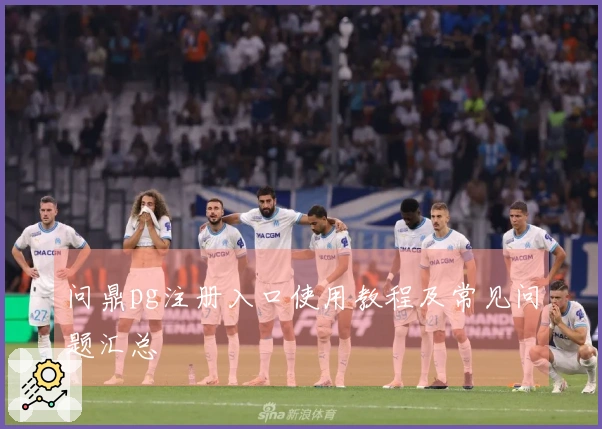 问鼎pg注册入口使用教程及常见问题汇总