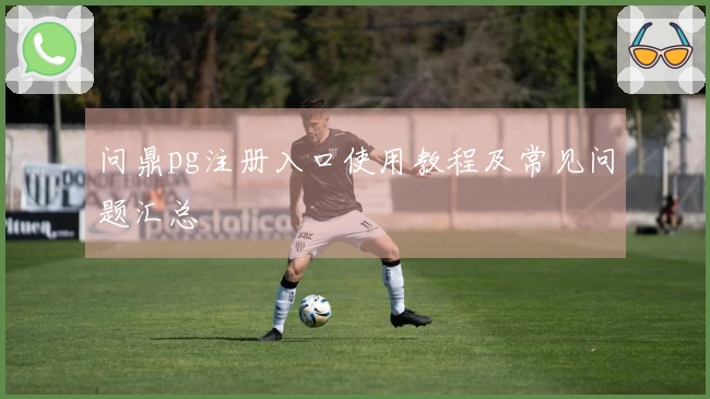 问鼎pg注册入口使用教程及常见问题汇总