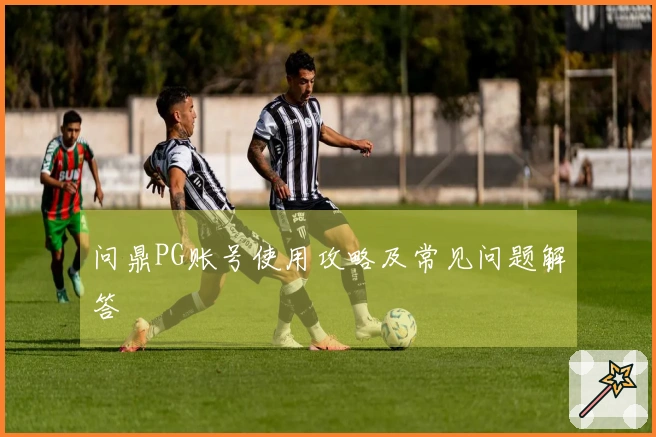 问鼎PG账号使用攻略及常见问题解答