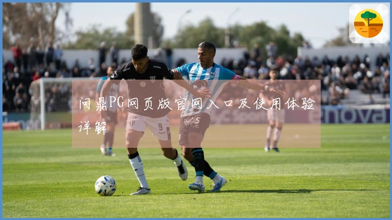 问鼎PG网页版官网入口及使用体验详解